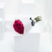 Splendid Fuchsia | White Wrap Add To Cart Splendid Fuchsia | White Wrap Add To Cart